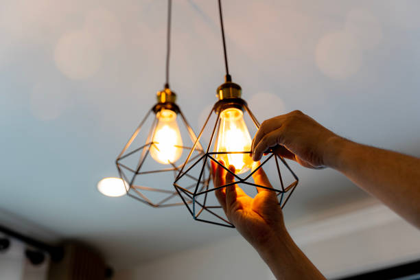 Best Electric Panel Repair  in Oak Valley, NJ